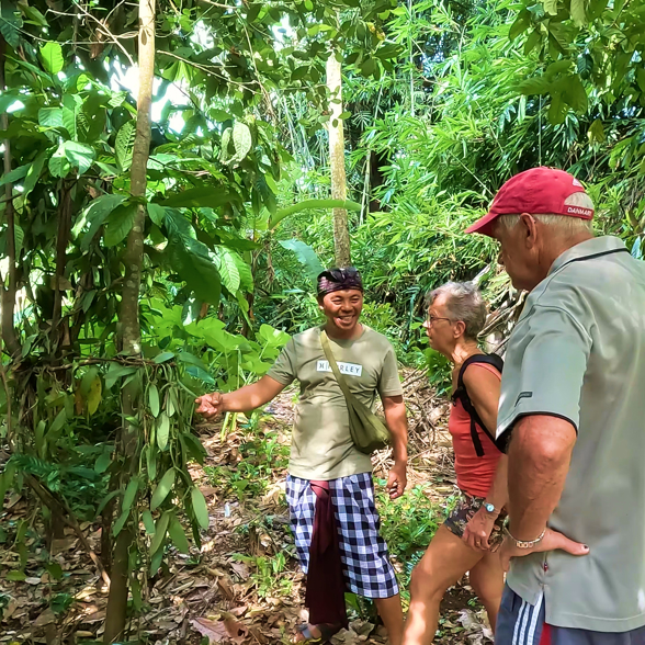 Learn about the balinese nature