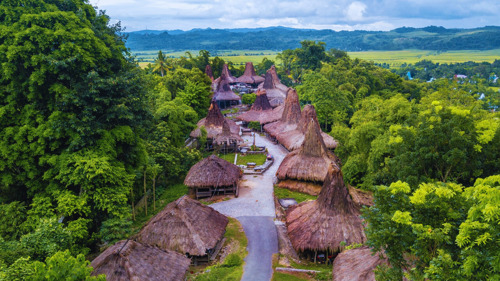 Traditional village in Sumba, Indonesia