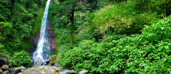 Bali Gitgit Waterfall 02