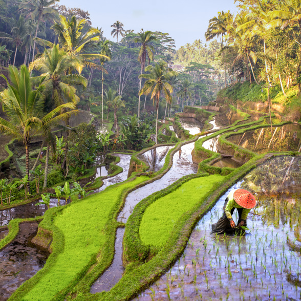 Experience life of the farmers