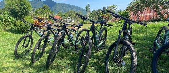 Bali Bikes