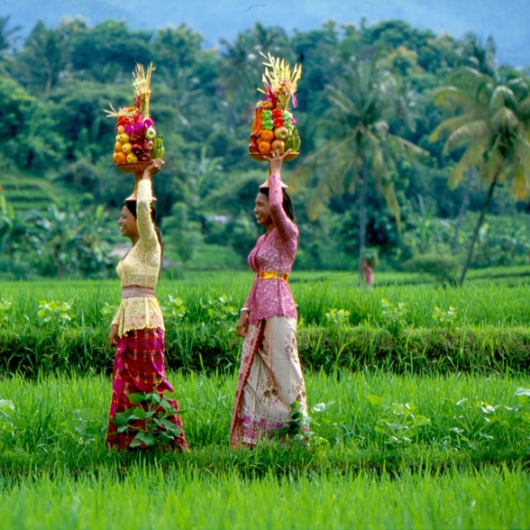 Bali Ricefield Woman 02