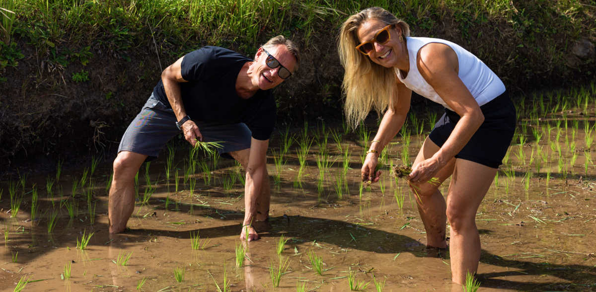 Try the life as a rice farmer