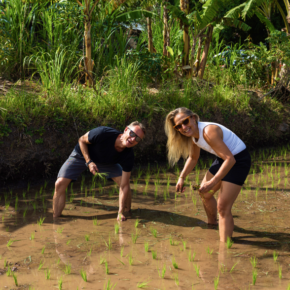 Ricefields Tourists 01