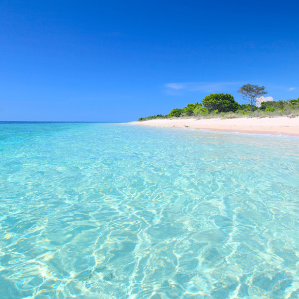 Barat National Park Beach