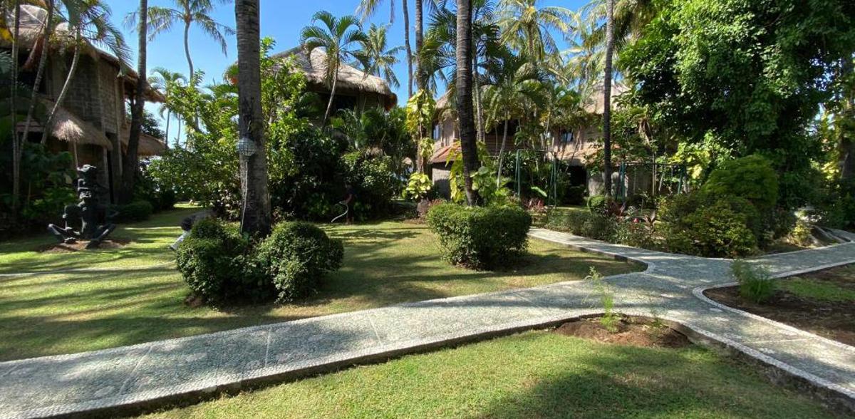Bungalows surrounded by the tropical garden 