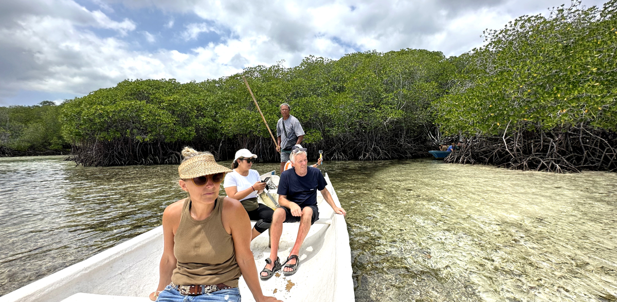 Canoe trip in the mangroves