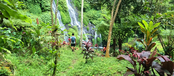 Twin waterfalls