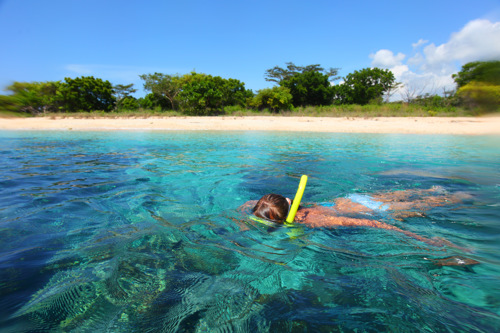 Snorkeling Menjangan island