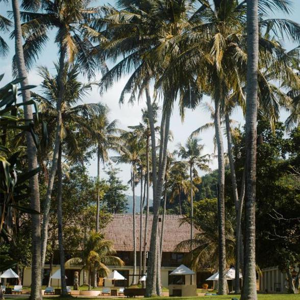 Alila Manggis 9