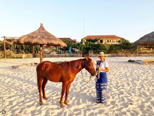 Horses at the beach, Sumba Indonesia
