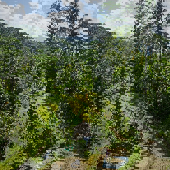 Sidemen Village Rice Fields