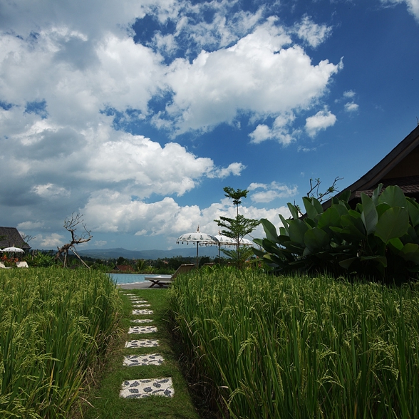 Sanak Retreat Munduk Garden