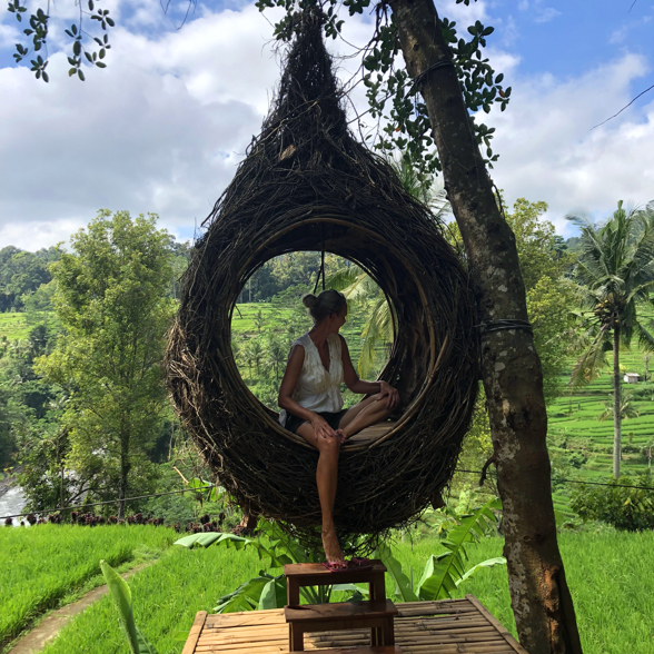 Bali Rice Field Nest