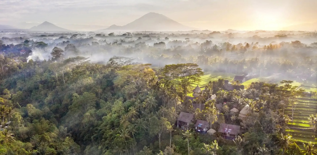 Arial overview of Blue Karma 