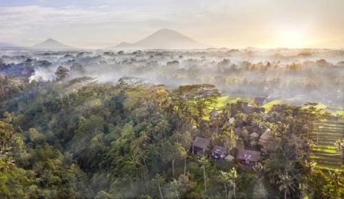 Aerial view of Blue Karma Dijiwa Ubud resort