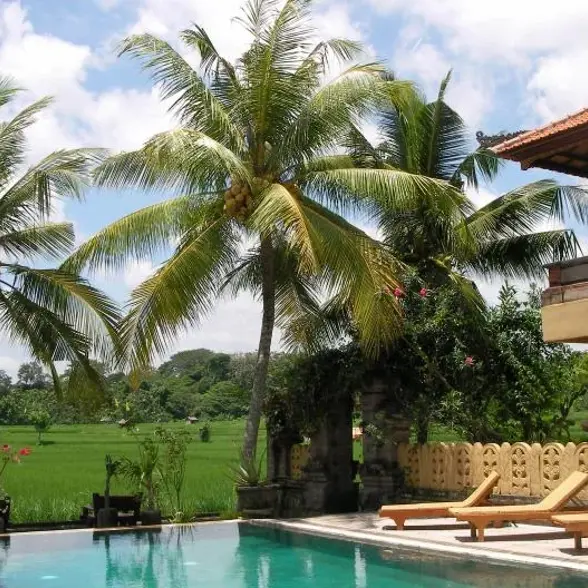 Hotel Ubud Green Field Pool Rice Field