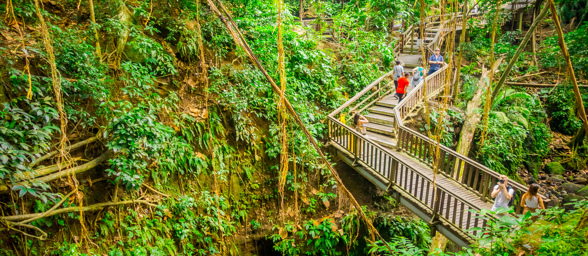 Ubud Monkey Forrest 09