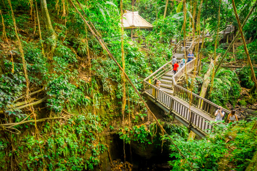Ubud Monkey Forest