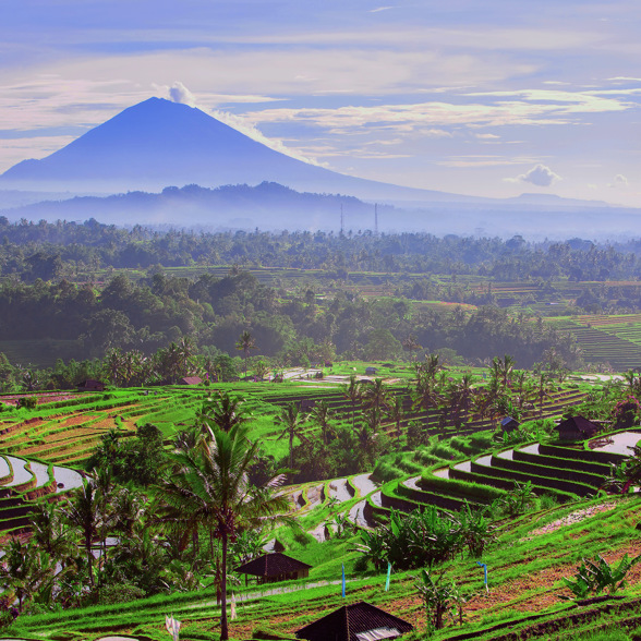 Jatiluwih rice fields