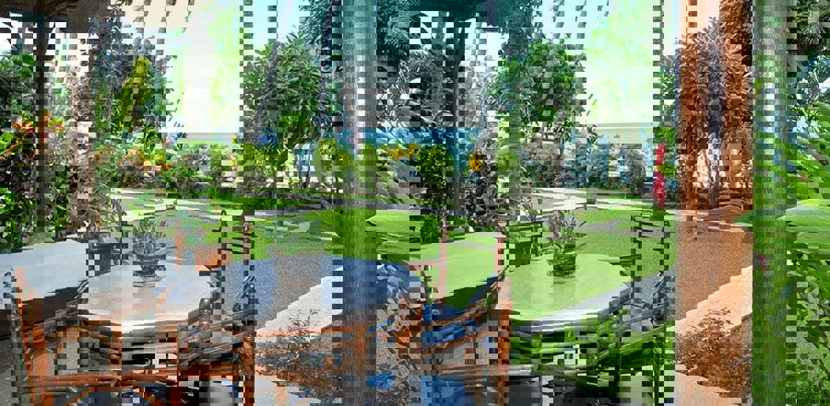 Garden view from the terrace