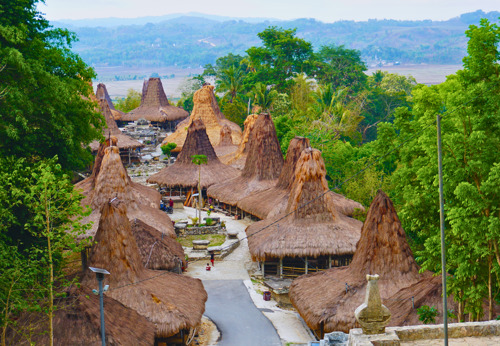 Sumba Praiijing Village overview