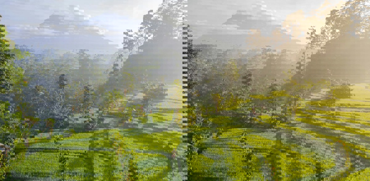 Mount Agung in Sidemen