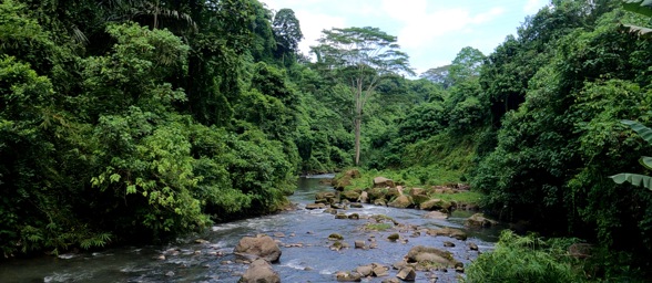 On the way to the waterfall