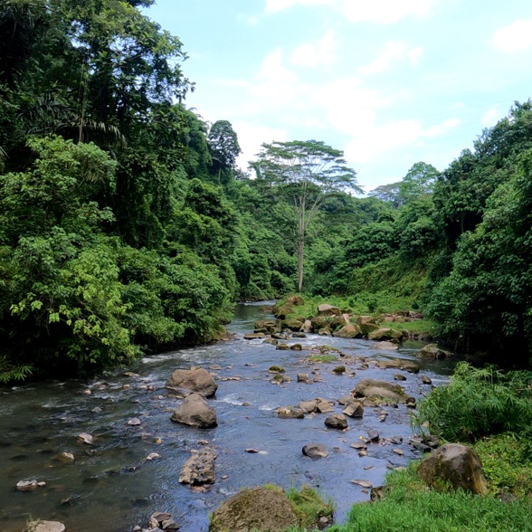 On the way to the waterfall