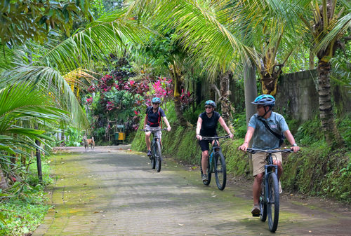Bike tours in Ubud