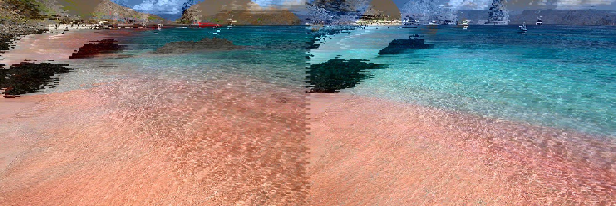 Pink Beach Komodo Flores Tour