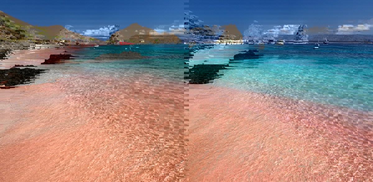 Visit Pink Beach - Komodo National Park