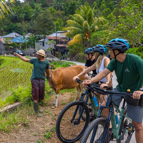 Explore Bali on a bike trip