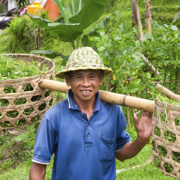 Bali Ricefield Farmer 11