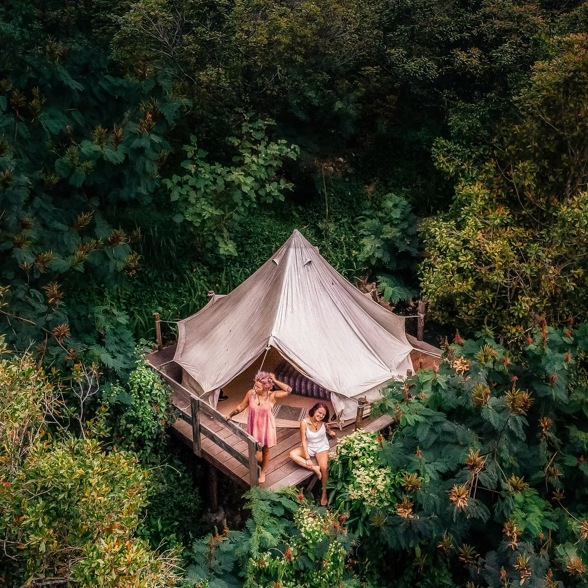 Jungle Tent