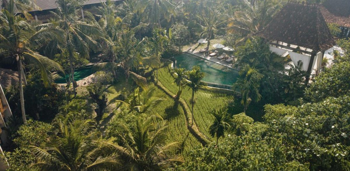Alaya Resort Ubud surrounded by rice fields