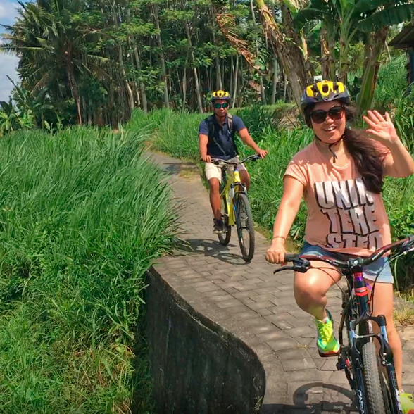 Biking Ricefields Tourists 03