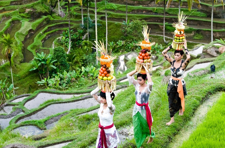 Ubud Ricefield Woman 05