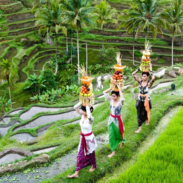 Ubud Ricefield Woman 05