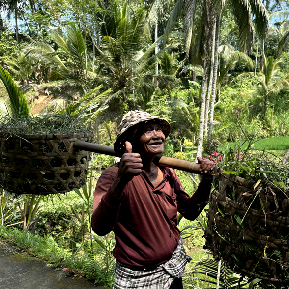 Tegalalang Rice Terrace 07