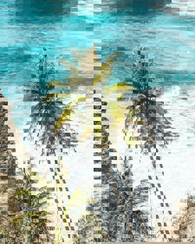 Stunning nature at Gili Islands