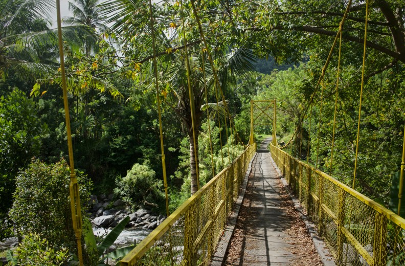 Yellow Bridge Sidemen