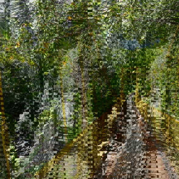 Sidemen Yellow Bridge