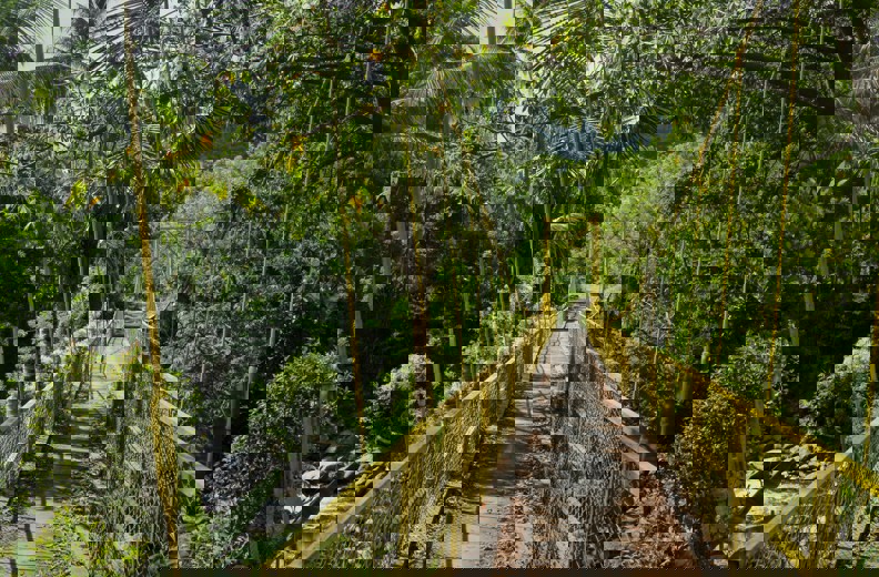 Yellow Bridge Sidemen