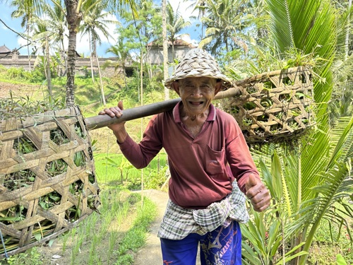 Meet the rice farmers in Ubud