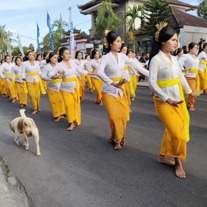 Bali Highlights Temple Ceremony Large
