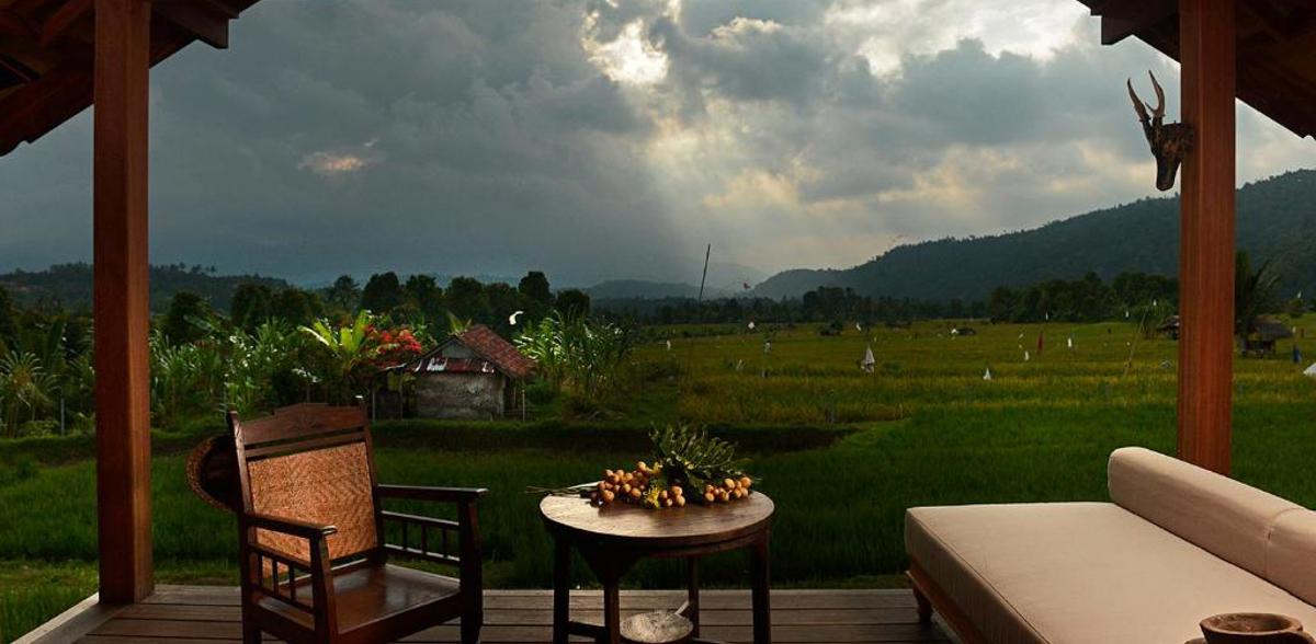 Terrace view