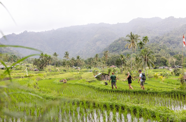 Bali Highlights Trekking 06 Large