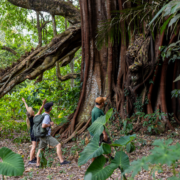 18 Bali Jungle Trekking Cili Travel