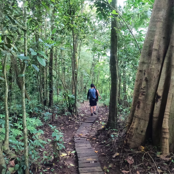 Hike to the waterfall